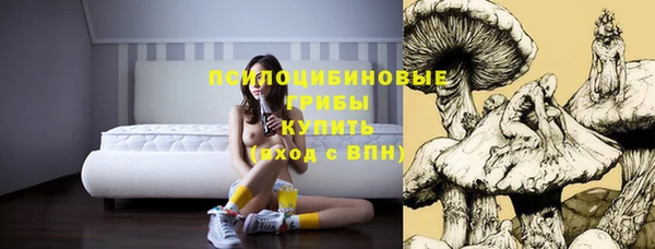 крисы Горно-Алтайск
