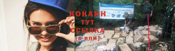 прущая мука Вяземский