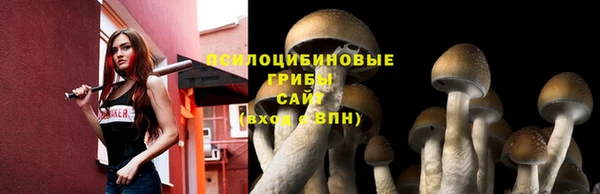 прущая мука Вяземский