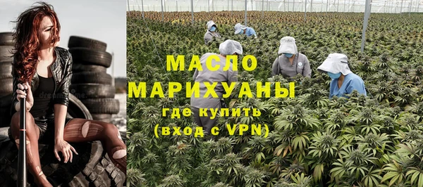 прущая мука Вяземский